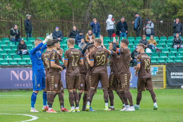 我们看到的 我们看到的