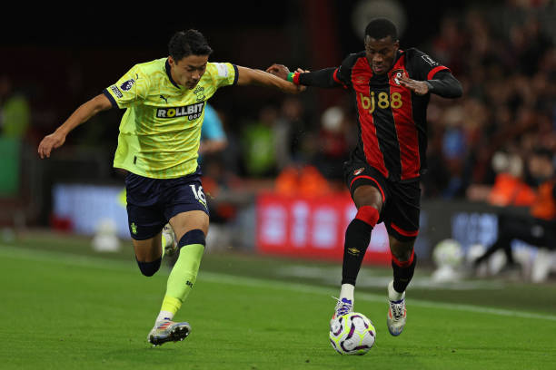 深深根植于 深深根植于